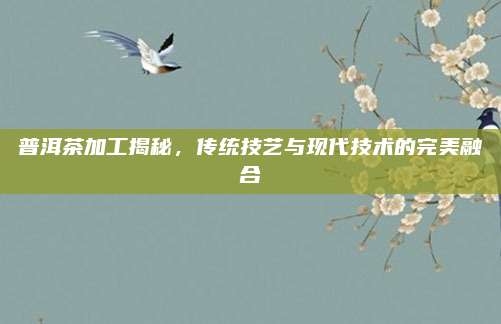 普洱茶加工揭秘，传统技艺与现代技术的完美融合