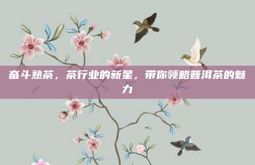 奋斗熟茶，茶行业的新星，带你领略普洱茶的魅力