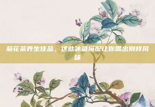 菊花茶养生佳品，这些冰糖搭配让你喝出别样风味