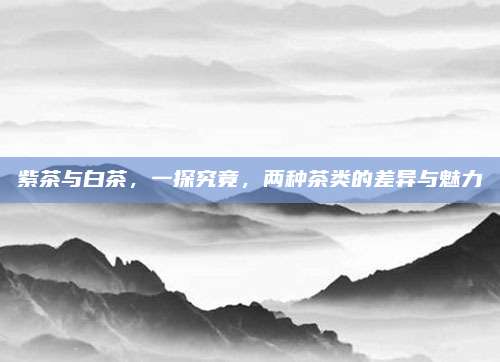 紫茶与白茶，一探究竟，两种茶类的差异与魅力