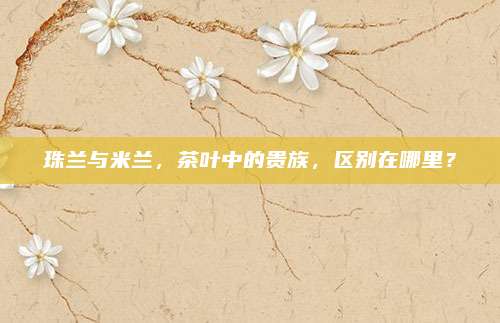 珠兰与米兰,茶叶中的贵族,区别在哪里?
