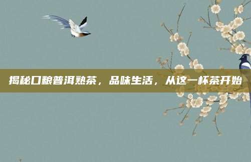 揭秘口粮普洱熟茶,品味生活,从这一杯茶开始