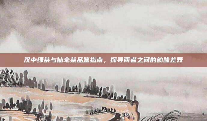 汉中绿茶与仙毫茶品鉴指南,探寻两者之间的韵味差异
