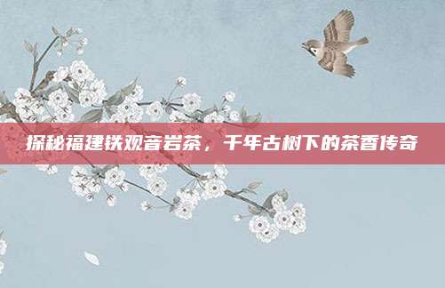 探秘福建铁观音岩茶,千年古树下的茶香传奇
