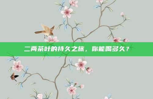 二两茶叶的持久之旅，你能喝多久？