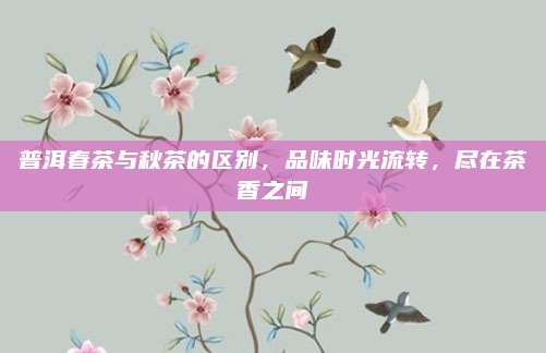 普洱春茶与秋茶的区别，品味时光流转，尽在茶香之间