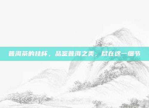 普洱茶的挂杯，品鉴普洱之美，尽在这一细节