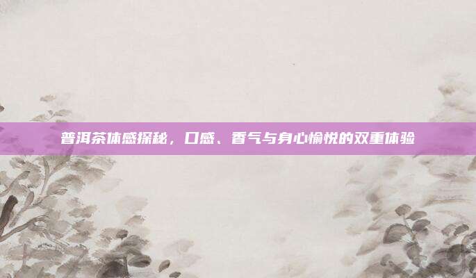 普洱茶体感探秘,口感、香气与身心愉悦的双重体验