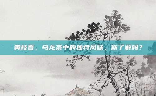 黄枝香,乌龙茶中的独特风味,你了解吗?