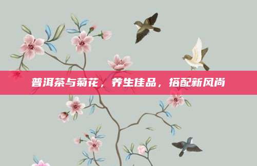 普洱茶与菊花,养生佳品,搭配新风尚