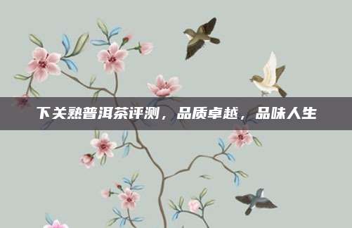 下关熟普洱茶评测,品质卓越,品味人生