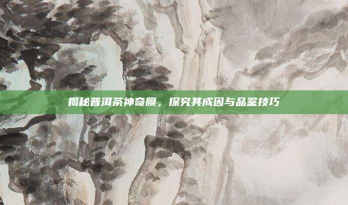 揭秘普洱茶神奇膜,探究其成因与品鉴技巧