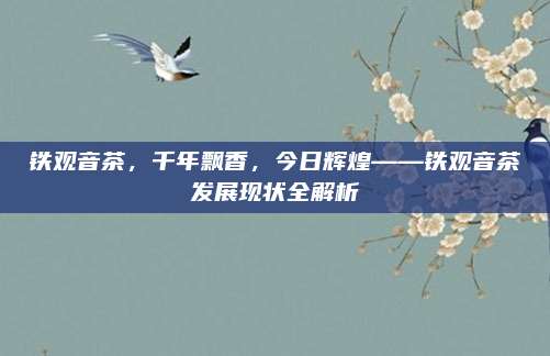 铁观音茶，千年飘香，今日辉煌——铁观音茶发展现状全解析