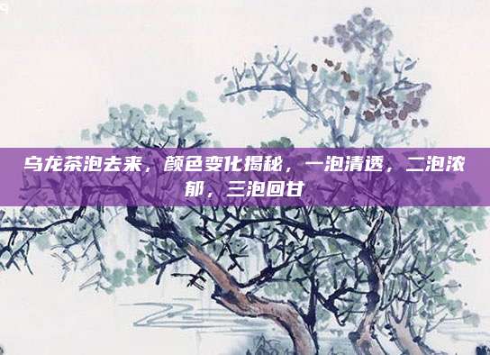 乌龙茶泡去来,颜色变化揭秘,一泡清透,二泡浓郁,三泡回甘