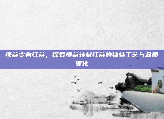 绿茶变身红茶,探索绿茶转制红茶的独特工艺与品质变化