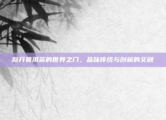 敲开普洱茶的世界之门,品味传统与创新的交融