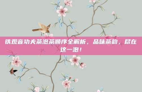 铁观音功夫茶泡茶顺序全解析，品味茶韵，尽在这一泡！