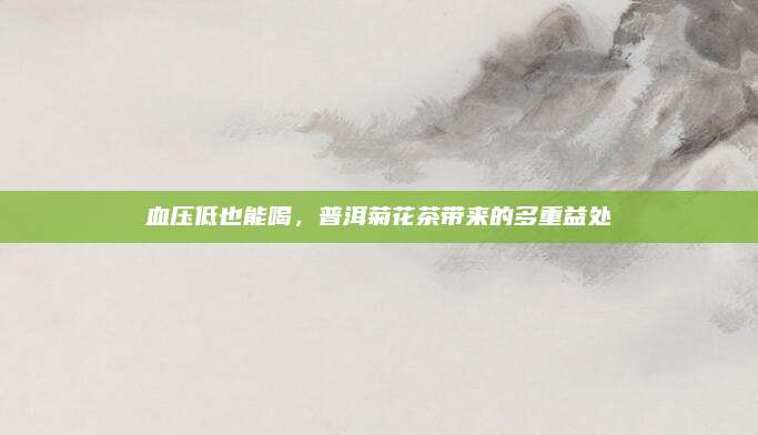 血压低也能喝，普洱菊花茶带来的多重益处