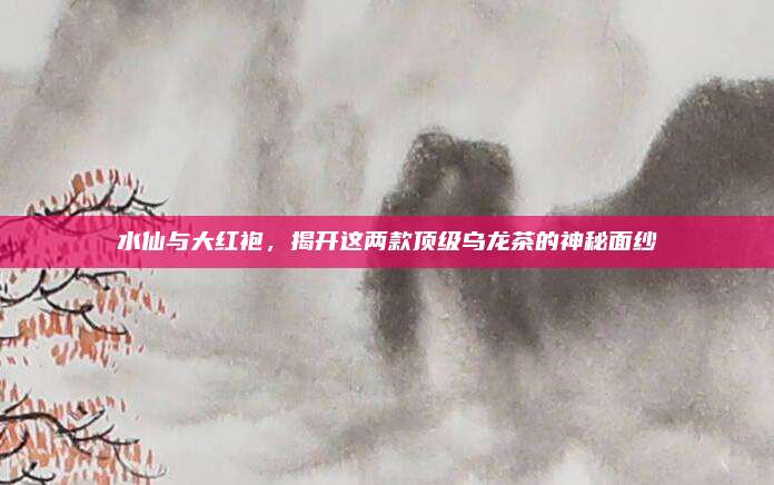 水仙与大红袍，揭开这两款顶级乌龙茶的神秘面纱
