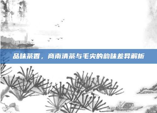 品味茶香,商南清茶与毛尖的韵味差异解析