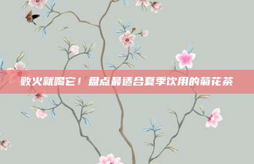 败火就喝它！盘点最适合夏季饮用的菊花茶