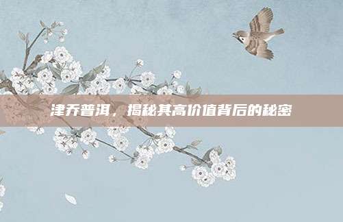 津乔普洱，揭秘其高价值背后的秘密