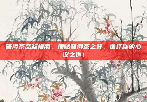 普洱茶品鉴指南，揭秘普洱茶之好，选择你的心仪之选！