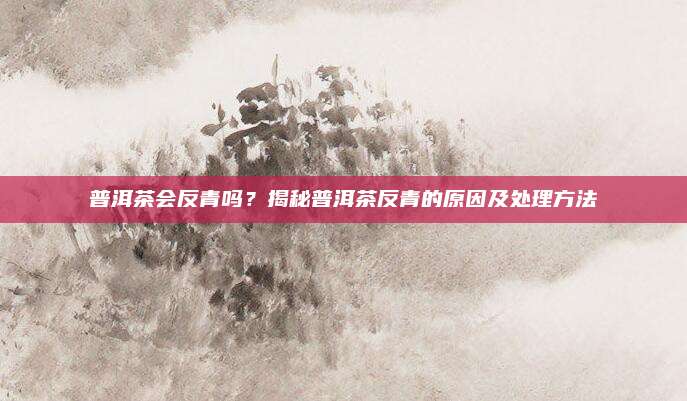 普洱茶会反青吗?揭秘普洱茶反青的原因及处理方法