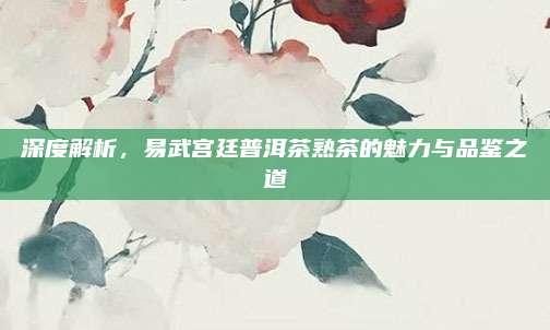 深度解析,易武宫廷普洱茶熟茶的魅力与品鉴之道