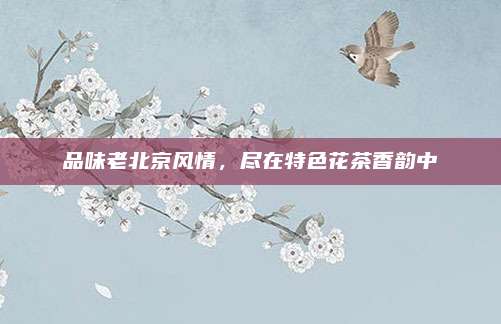 品味老北京风情,尽在特色花茶香韵中