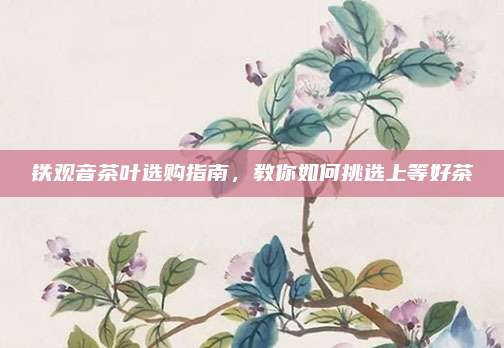 铁观音茶叶选购指南,教你如何挑选上等好茶