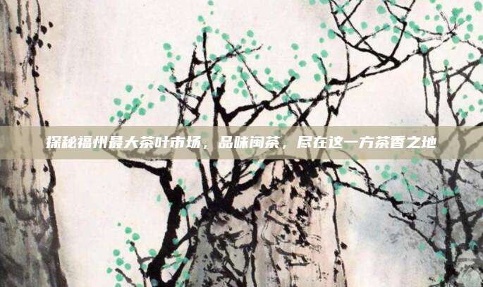 探秘福州最大茶叶市场,品味闽茶,尽在这一方茶香之地
