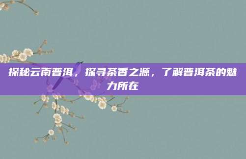 探秘云南普洱，探寻茶香之源，了解普洱茶的魅力所在
