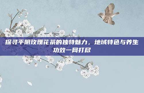探寻平阴玫瑰花茶的独特魅力，地域特色与养生功效一网打尽