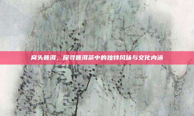 窝头普洱,探寻普洱茶中的独特风味与文化内涵