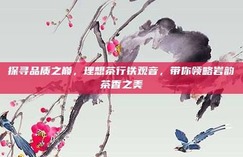 探寻品质之巅,理想茶行铁观音,带你领略岩韵茶香之美