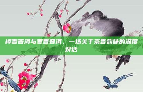 樟香普洱与枣香普洱,一场关于茶香韵味的深度对话