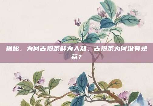 揭秘，为何古树茶鲜为人知，古树茶为何没有熟茶？