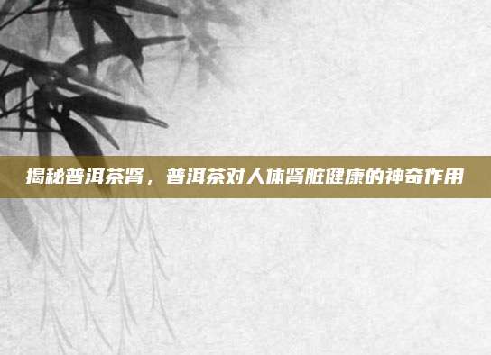 揭秘普洱茶肾，普洱茶对人体肾脏健康的神奇作用