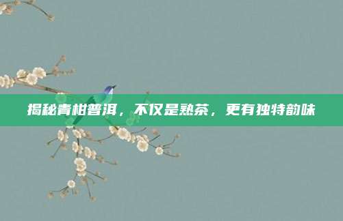 揭秘青柑普洱，不仅是熟茶，更有独特韵味