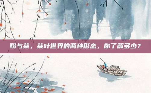 粉与茶,茶叶世界的两种形态,你了解多少?