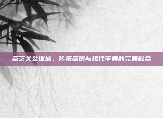 茶艺关公巡城,传统茶道与现代审美的完美融合