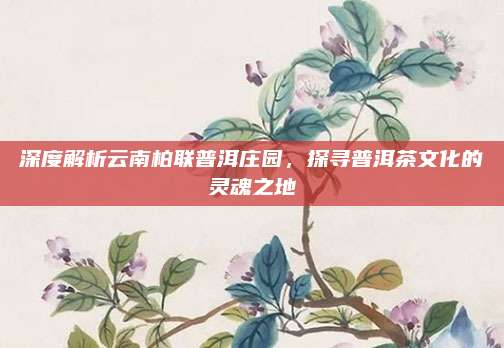 深度解析云南柏联普洱庄园,探寻普洱茶文化的灵魂之地