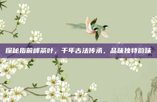 探秘指前峰茶叶，千年古法传承，品味独特韵味