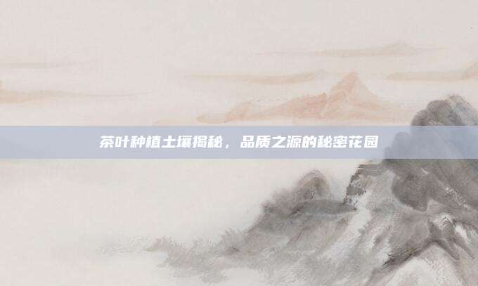 茶叶种植土壤揭秘，品质之源的秘密花园