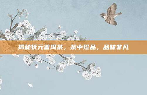 揭秘状元普洱茶，茶中珍品，品味非凡