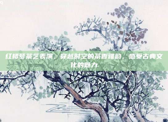 红楼梦茶艺表演，穿越时空的茶香雅韵，感受古典文化的魅力
