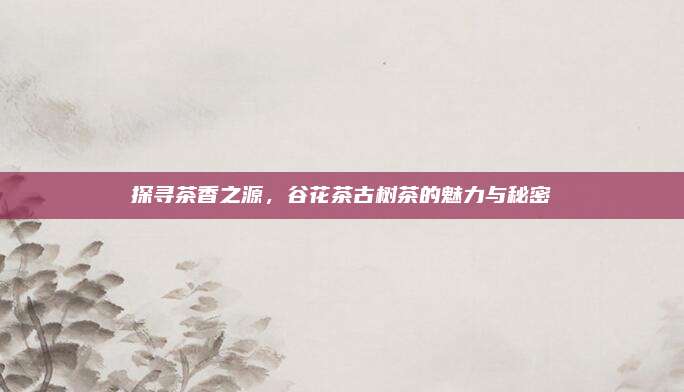 探寻茶香之源，谷花茶古树茶的魅力与秘密