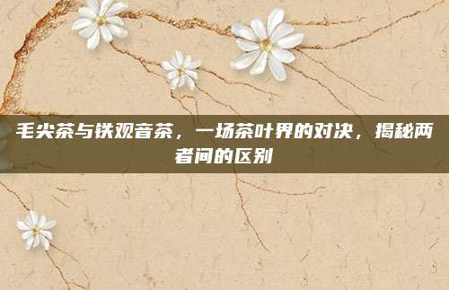 毛尖茶与铁观音茶，一场茶叶界的对决，揭秘两者间的区别