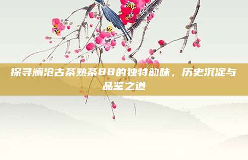 探寻澜沧古茶熟茶88的独特韵味，历史沉淀与品鉴之道